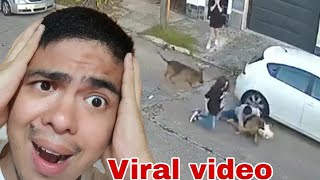 Inatake Ang Aso Ko Or Umatake Ang Ko Ano Ang Dapat Gawin?