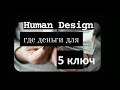 Human Design 5 талант