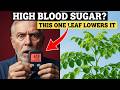 Science-Backed: The Leaf That Helps Control Blood Sugar &amp; Protect Your Arteries