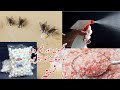 Makhiyan Bhagany Ka Asan Tarika | Get Rid Of Flies In Rainy Season