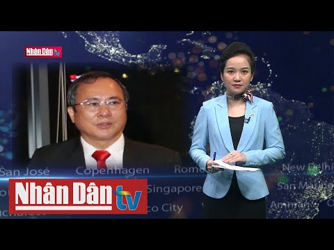 Video Khởi tố ông Trần Văn Nam, nguyên Bí thư Tỉnh ủy Bình... - youtube