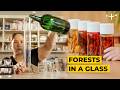 Capturing Taitung's Forests in a Bottle | Spirits of Taiwan