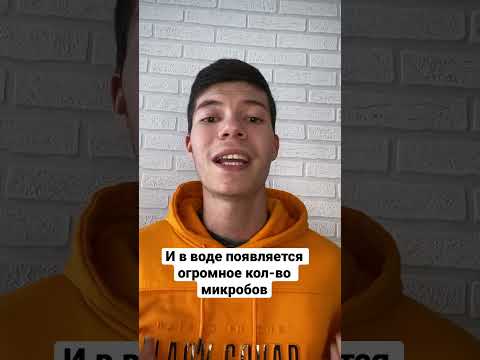 Почему лучше не пить воду в самолете? ✈️ #shorts #егэ #егэфизика #физика