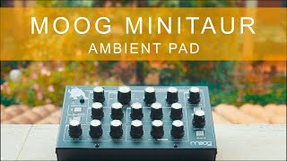 Ambient 100% Moog Minitaur: Velvety Ambient Pad
#moogminitaur
Disclaimer - This video is NOT sponsored by any of the brands visible and mentioned throughout this video.
Third video of my Minitaur one synth challenge trilogy. This time I tried to create a velvety pad sound. To achieve the final result Ive recorded and layered a total of 20 parts. They were then processed with a touch of Tal Chorus and BigSky reverb pedal.
Watch the other two videos:
https://youtu.be/hc9jyZvUSOk
https://youtu.be/AGzIuXk9DwU
If you want to support me, follow me on Spotify: https://spoti.fi/2Frw0M7 Ambient 100% Moog Minitaur: Velvety Ambient Pad