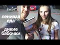 день НЕПРАВИЛЬНОЙ ЕДЫ. плантация ДИКИХ БАБОЧЕК