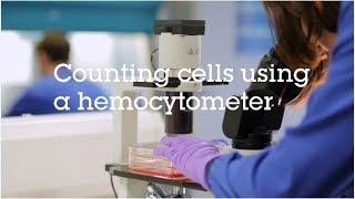 Counting cells using a hemocytometer video protocol