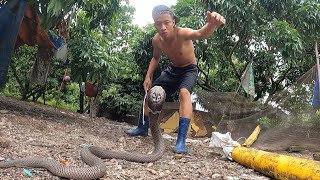 The World's Best Hunter Helps People Catch Cobras That Crawl Into Chicken Coops