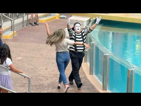 He wasn’t ready for this energy 😂 Tom the Seaworld mime full show