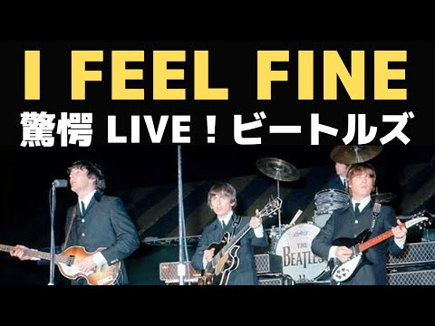 驚きのビートルズ1965年ライブ「I FEEL FINE アイフィールファイン」の凄すぎる現実・・単なるファンの感想です