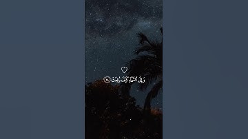 افلا ينظرون الى الابلِ كيف خُلقت.. 🤎#حالات واتس اب #قران كريم..