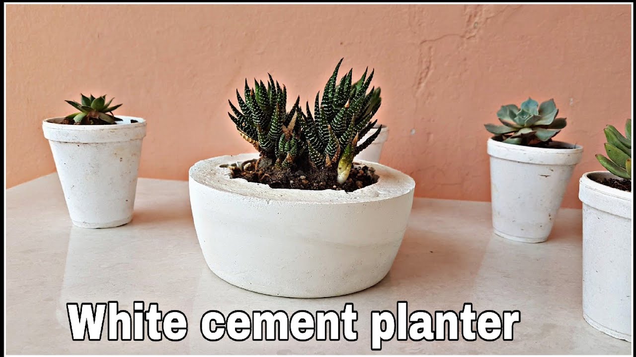 How to make cement pot at home, white cement planter for succulents