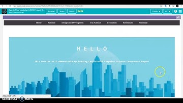 Leaving Certificate Computer Science Report, background img