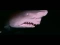 Strange Wilderness - Shark Footage