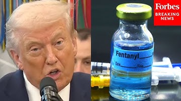 Trump Signs Executive Order To Classify Fentanyl As Weapon Of Mass Destruction