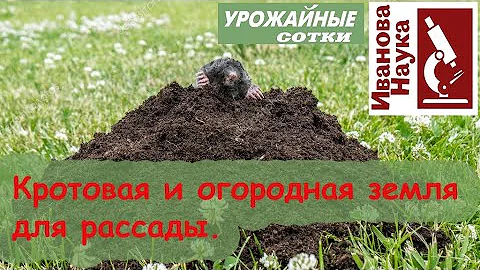 ОПАСНОСТИ использования огородной и кротовой земли для рассады.