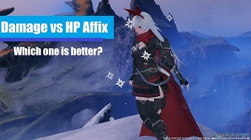 NGS Affixing Fundamental- Damage vs HP Affix