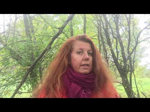 Video: Depressioon Tabab Võimsamaid Naisi Kui Mehi