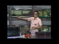 From Guppies to Groupers: Mastering Fish Feeding Practices
