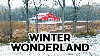 First Snow Day At Maker Farm Here Begins A Cozy, Magical Winter