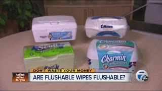 Are flushable wipes really flushable?