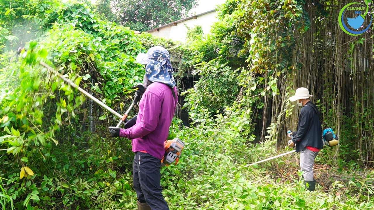 SURPRISED 54 years old house - This home was TAKEN OVER by mother nature | We clean up in the city