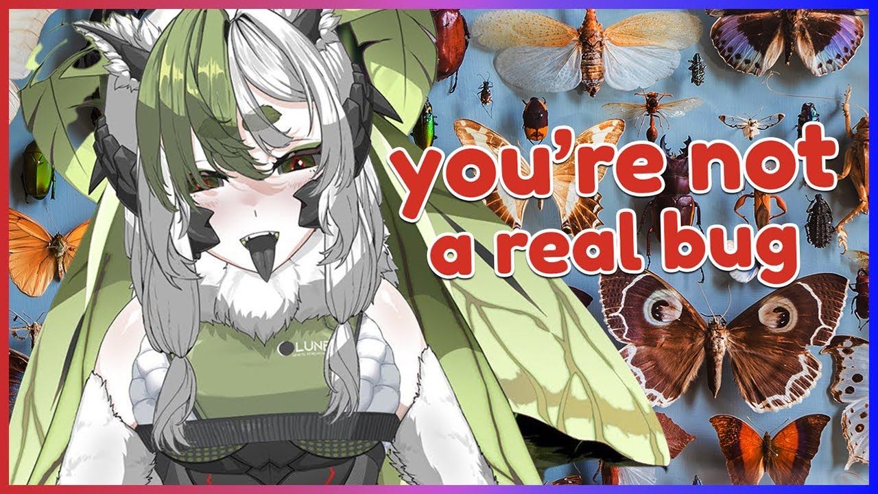 I study insects....Juniper actias