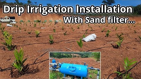 Drip irrigation system installation with sand filter for 5 acres in One day @ Coffee estate Arecanut
