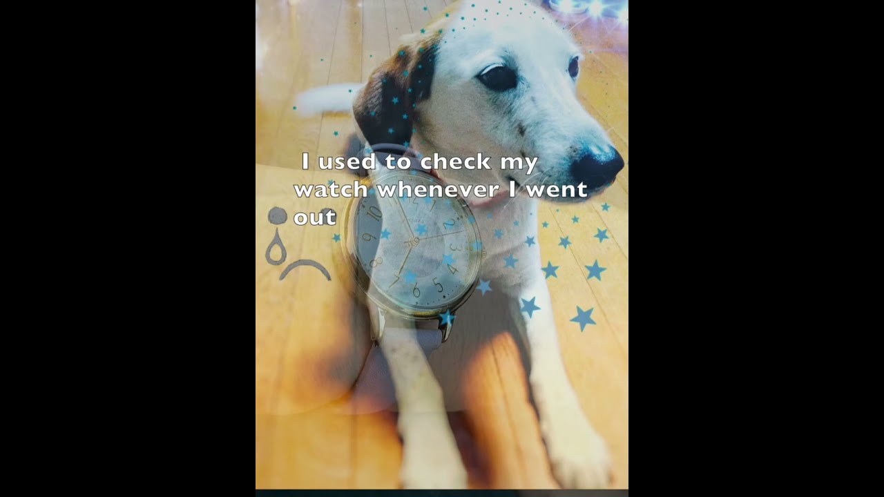 Rainbow Bridge Verse2 Shorts