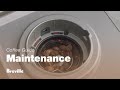 The Oracle® Touch | Cleaning grinder conical burrs: our 6-step guide | Breville USA