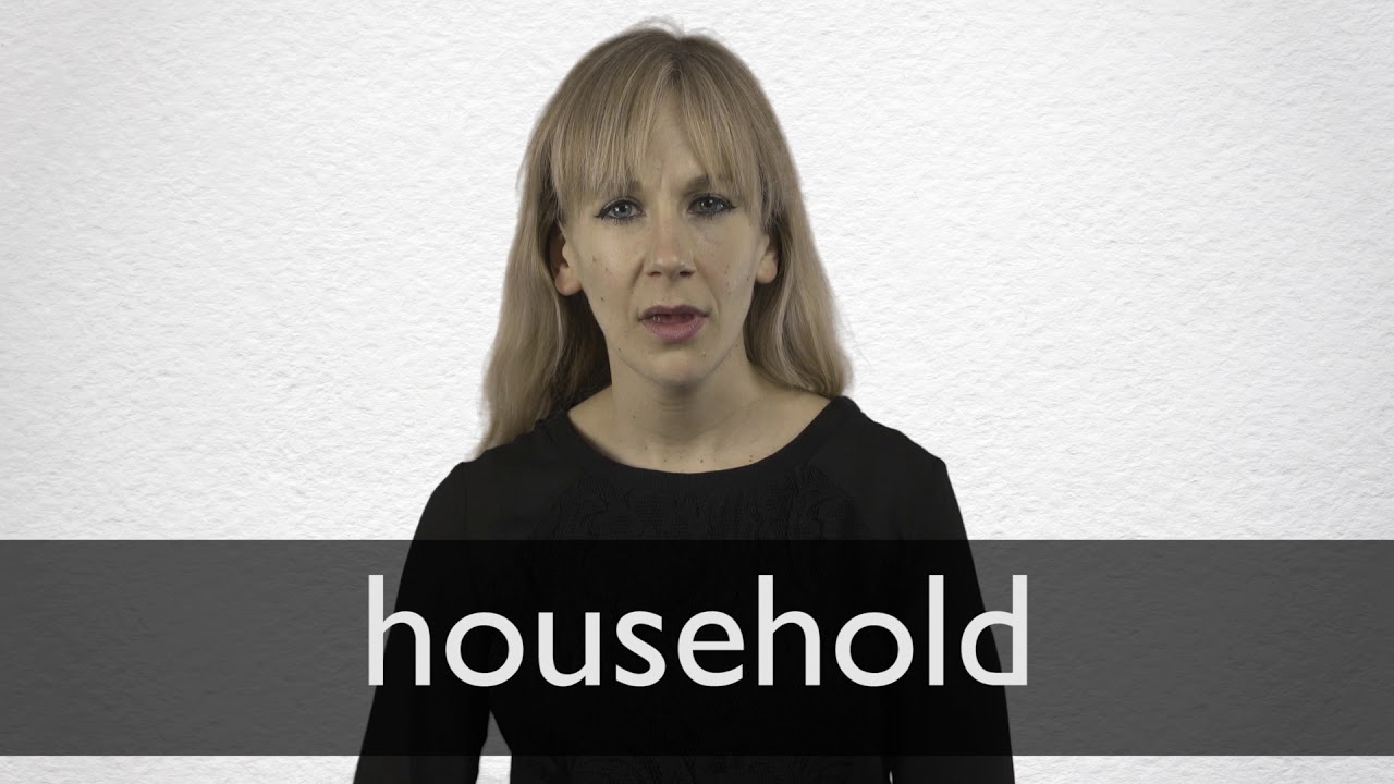 HOUSEHOLD definition in American English