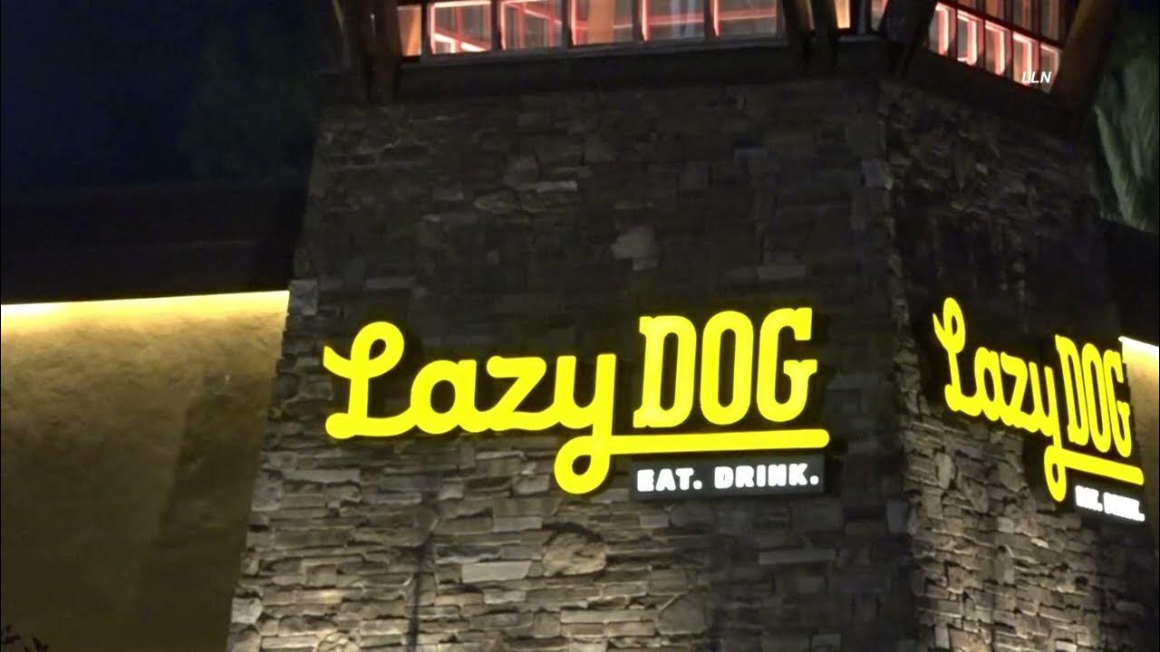 Lazy Dog Lot Shooting MONTCLAIR, CA 2.4.22 YouTube