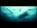 Sharkwise - Trailer