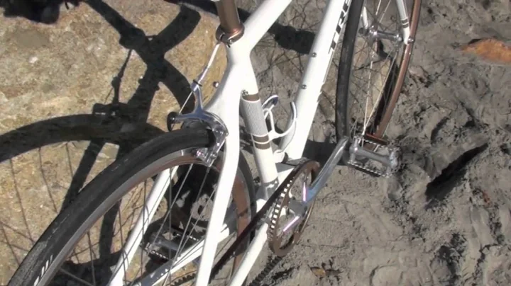 Trek District Shimano Alfine/Gates Belt Drive Upgrade