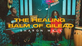 Miniatura de vídeo de "The Healing Balm of Gilead by Sharon Male #Healing #Balmofgilead #Believeinhim"