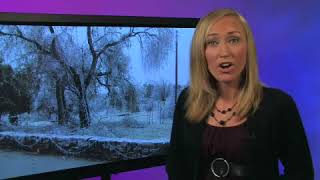 Angi Bruss- Dec. 21 Headlines (2007-12-21)