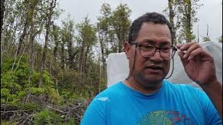 We got NIECHEN! Watch the video, as I explain.