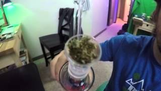 Sasquatch glass bong rippage ganja time