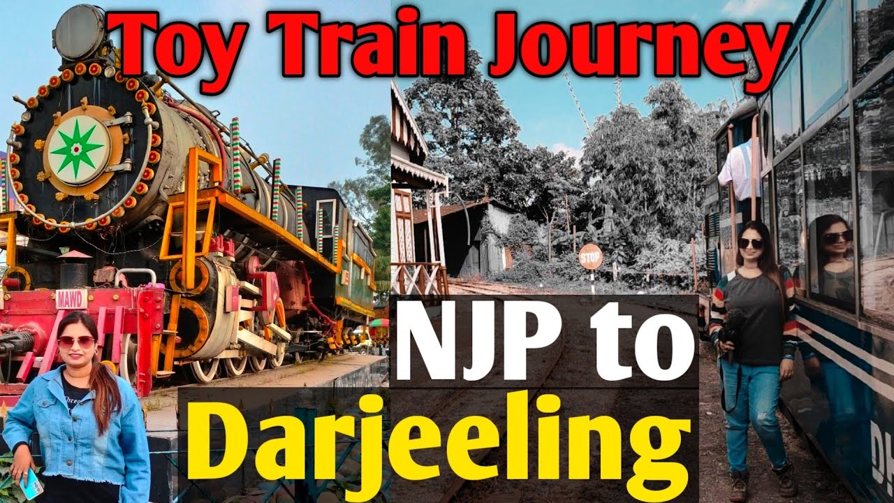 NJP to Darjeeling Toy Train Journey । Darjeeling Toy Train । Darjeeling