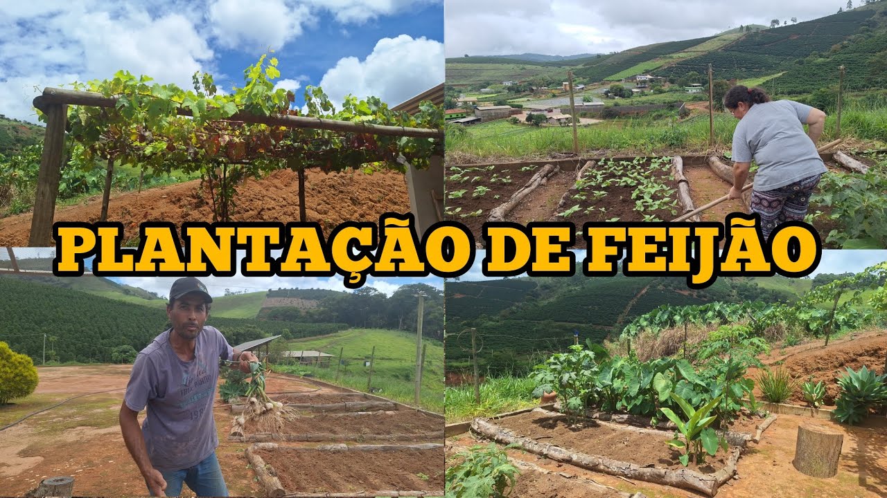 PLANTANDO O NOSSO PROPRIO ALIMENTO