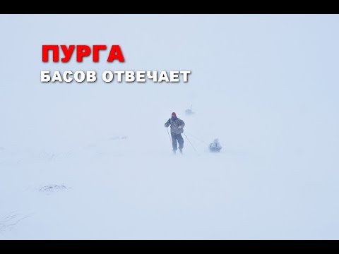 Пурга. Басов отвечает
