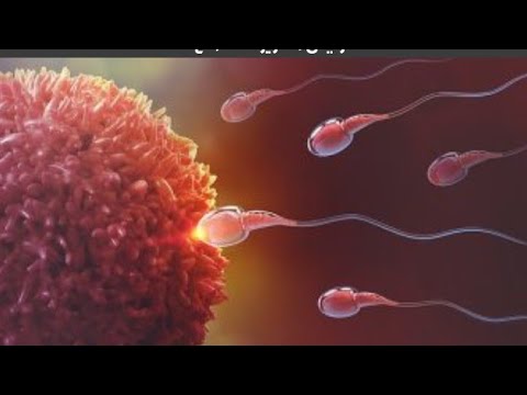 ظهور دم في السائل المنوي تعرف علي السبب