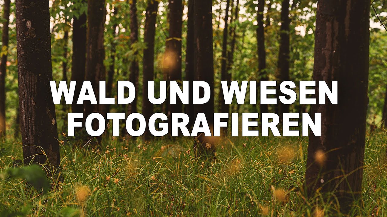 LANDSCHAFTSFOTOGRAFIE zu HAUSE | WIESEN, WALD und FELDER fotografieren