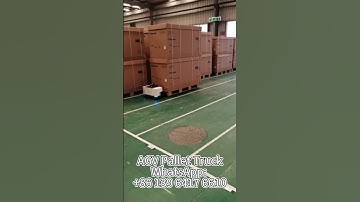 Tiny in stature, yet bursting with boundless energy and strength!