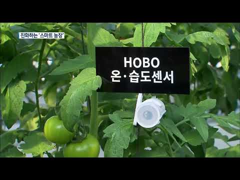 [KBS뉴스9 전북] 2018.11.28(수) 집중1)  &#39;스마트 농장&#39;의 진화.. &#39;말로 짓는 농사&#39;