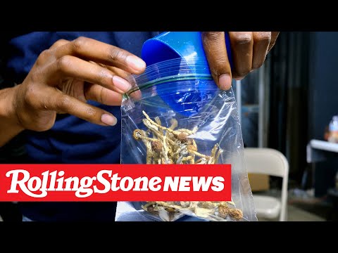 Oregon Decriminalizes All Drugs, While D.C. Decriminalizes Psychedelics | RS News 11/4/20