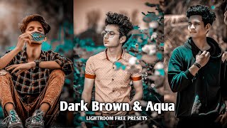 Lightroom Mobile Preset| Dark Brown Aqua  Colour Tone Presets | Lr Preset Editing Tutorial screenshot 1