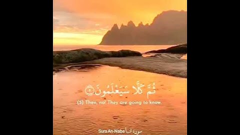 ✨ تلاوة خاشعة من سورة النبأ - روعة  الخشوع والسكينة ✨ #سورة_النبأ #تلاوة_خاشعة#القرآن_الكريم  #خشوع