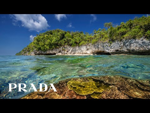 #PradaReNylon in collaboration with National Geographic Creative Works | Part 1 the Indo-Pacific
