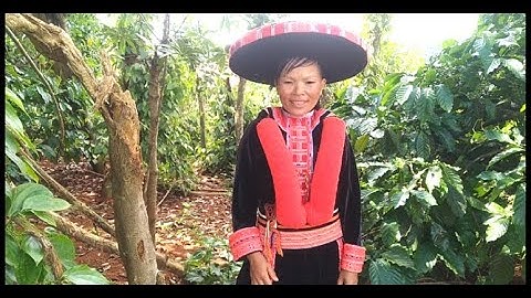 Video hát lượn | mới nhất hay ý nghĩa