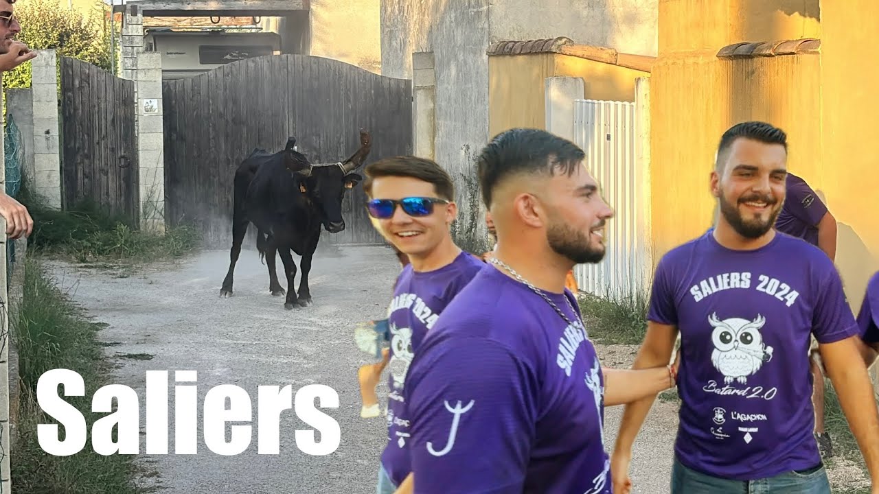 Bandido ➡️ Saliers 🇫🇷 01/08/24 Manade LESCOT #aficionados #abrivado #tradition